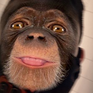 Meet your Posher, Andy